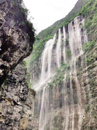 拿捏小朋友的胃？奈雪、西贝把亲子经济玩明白了